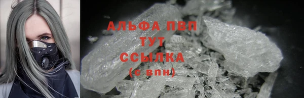 СК Иннополис