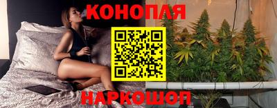 трава Кандалакша