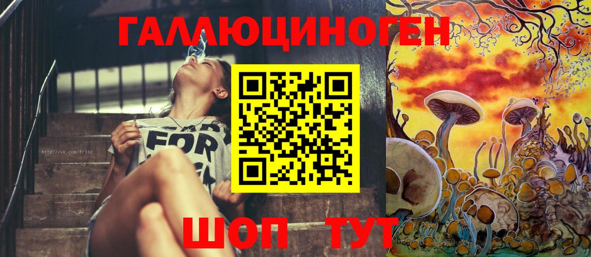Галлюциногенные грибы Cubensis  Ессентуки 