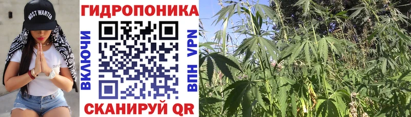 Каннабис THC 21% Ессентуки